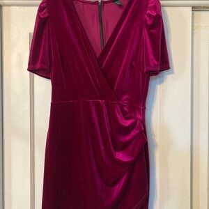 Wild Fable Velvet Mini Dress in Magenta